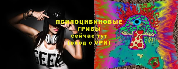 экстази Ельня