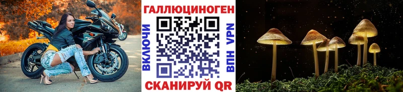 Псилоцибиновые грибы Cubensis Заволжск