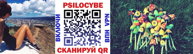 Купить  Заволжск  Псилоцибиновые грибы мухоморы 
